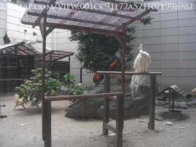 Nagoya · Aichi · Japan