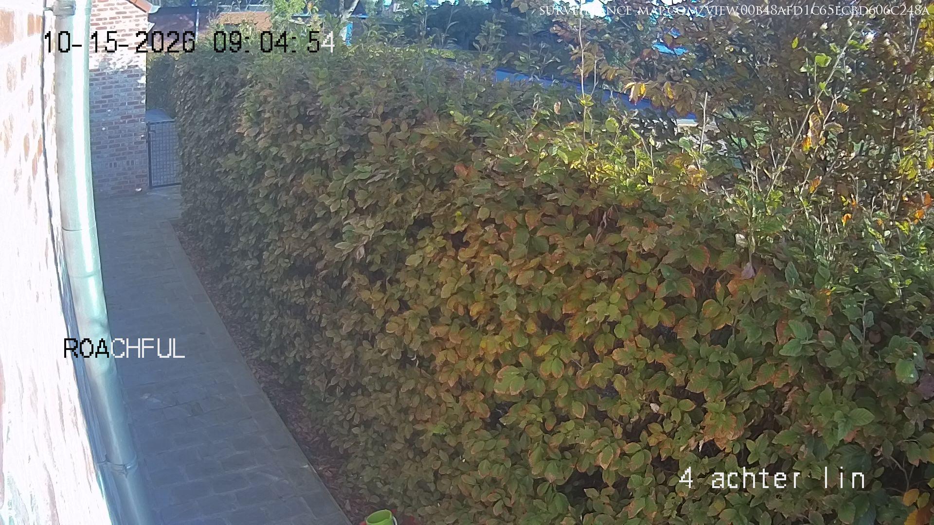 Sint-Katelijne-Waver · Flanders · Belgium
