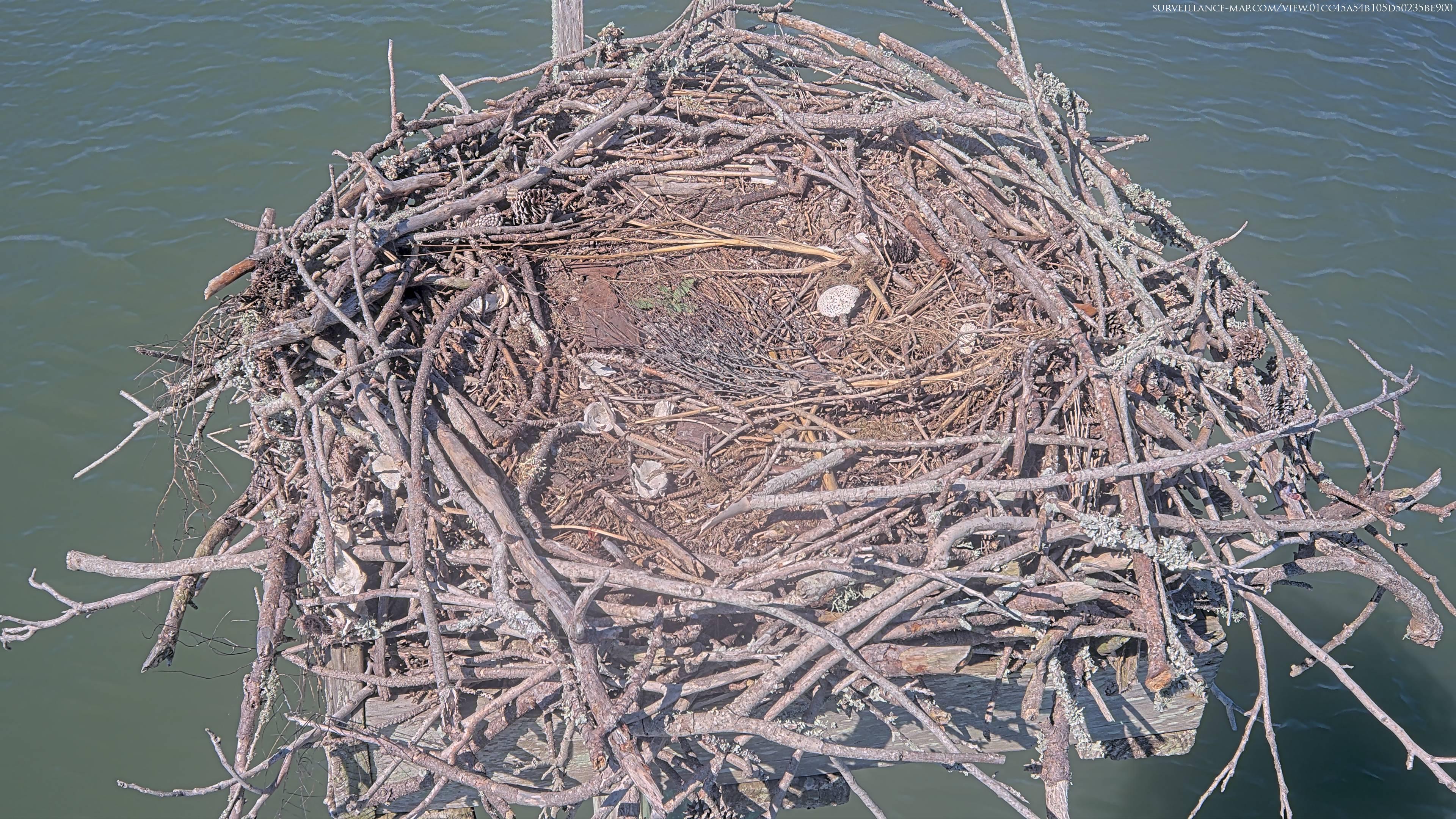Beaufort · North Carolina · United States