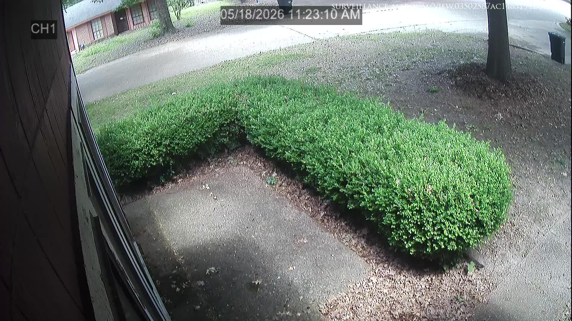 Greenville · Mississippi · United States