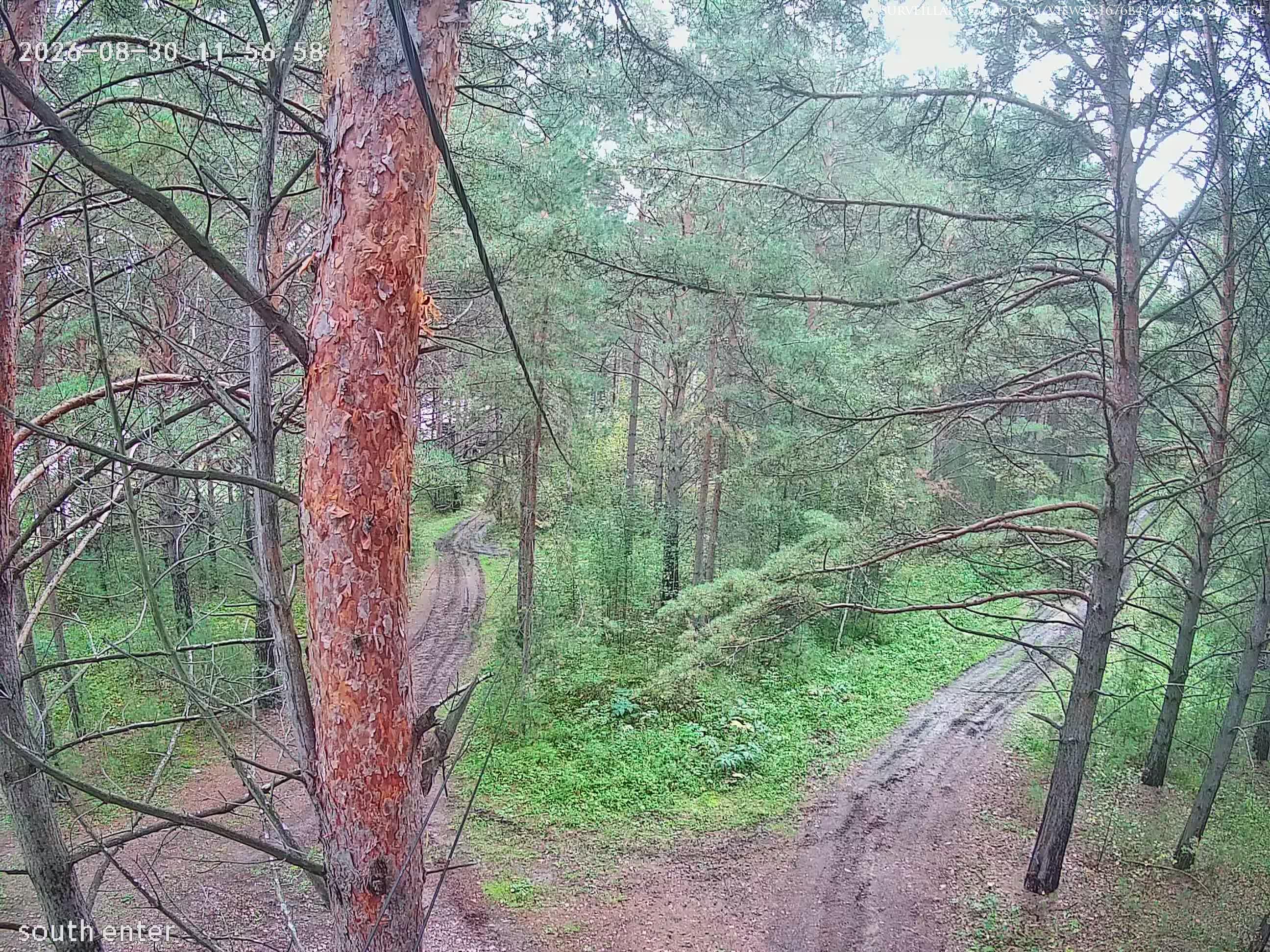 Krasnoyarsk · Krasnoyarsk Krai · Russia