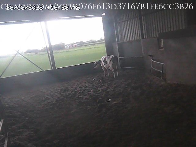 Den Ham · Overijssel · The Netherlands