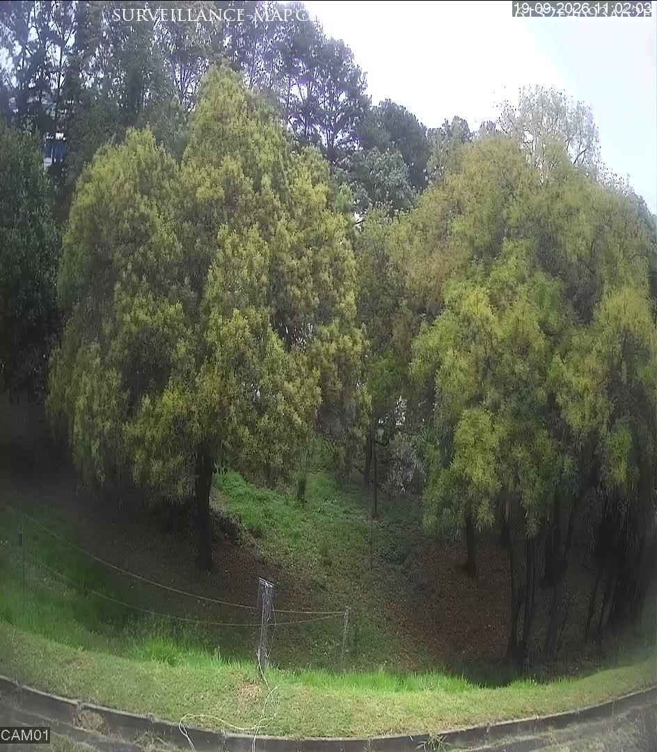 Itaquaquecetuba · São Paulo · Brazil