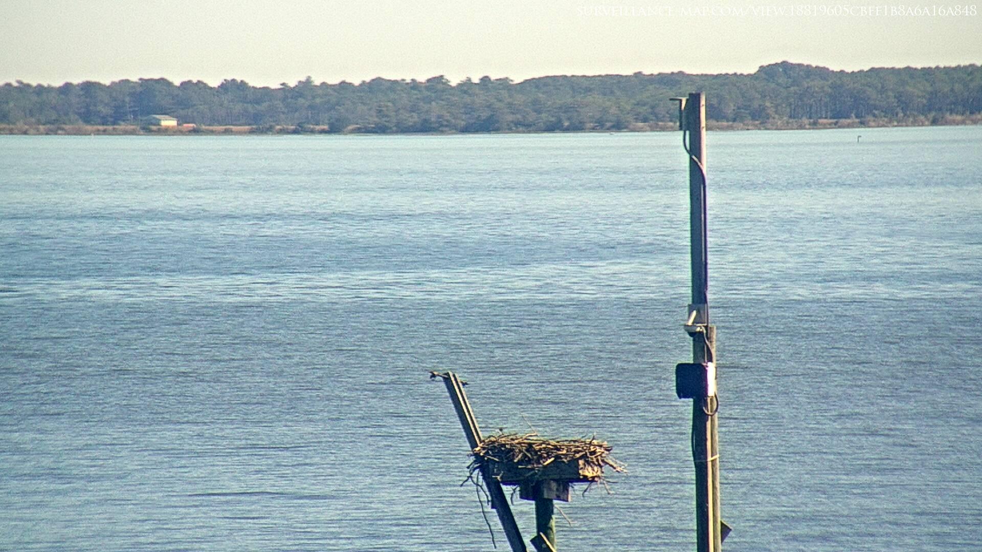 Beaufort · North Carolina · United States