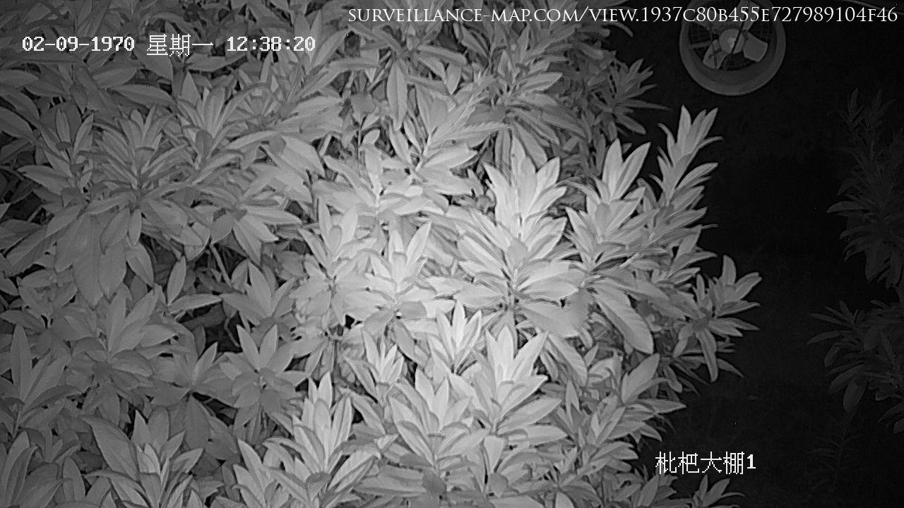 Hangzhou · Zhejiang · China