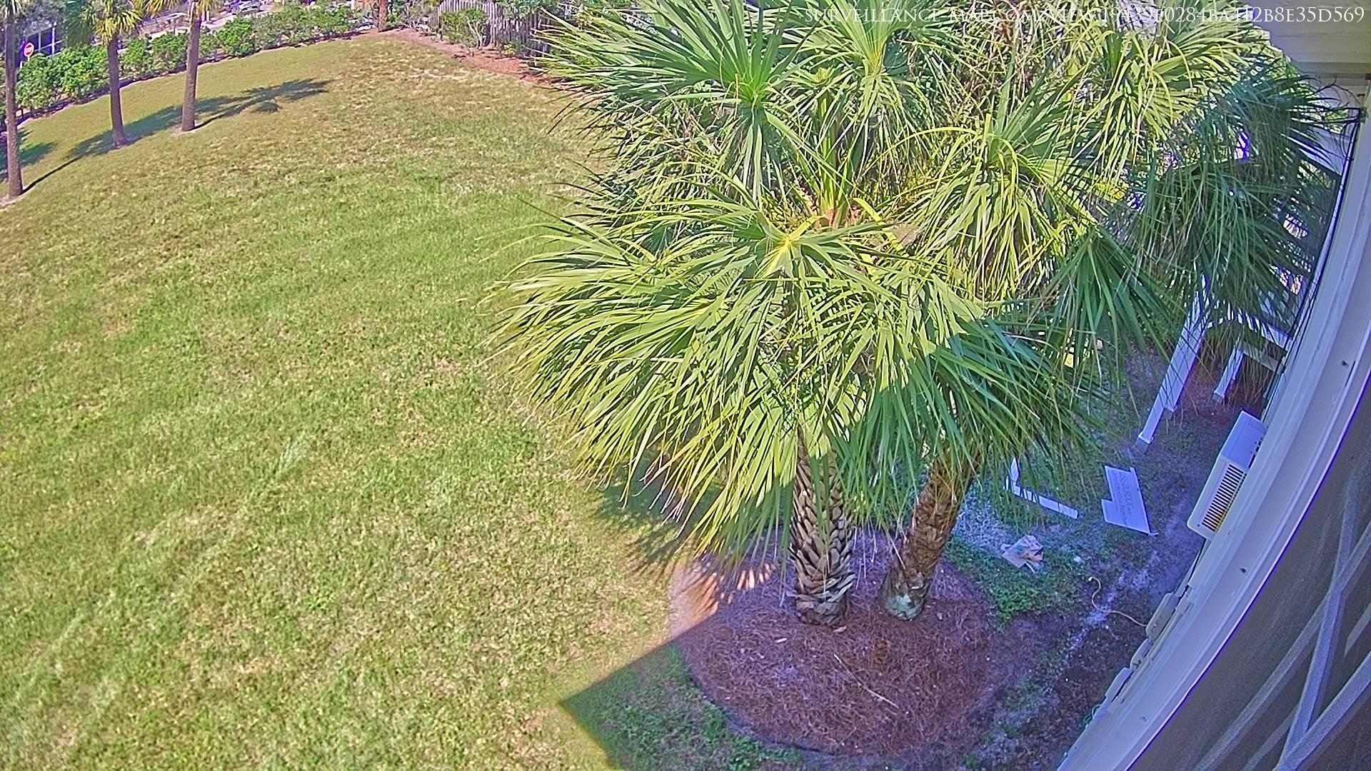 Savannah · Georgia · United States