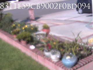 Huntington Beach · California · United States