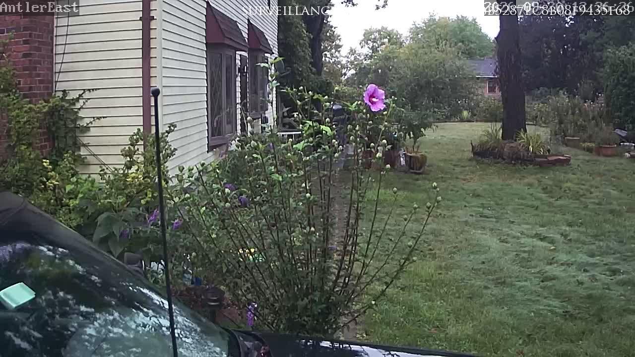 Kutztown · Pennsylvania · United States