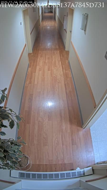 Arlington Heights · Illinois · United States