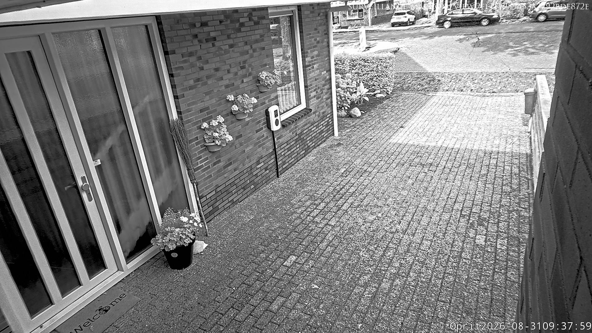 Hoogezand · Groningen · The Netherlands