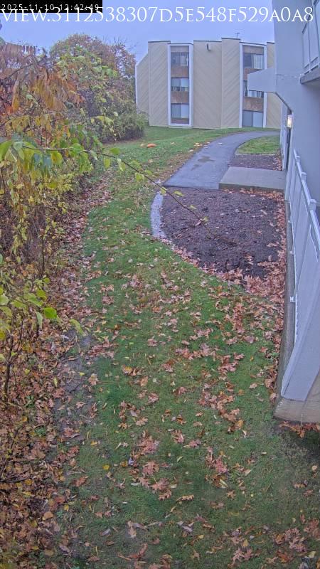 Belmont · Massachusetts · United States