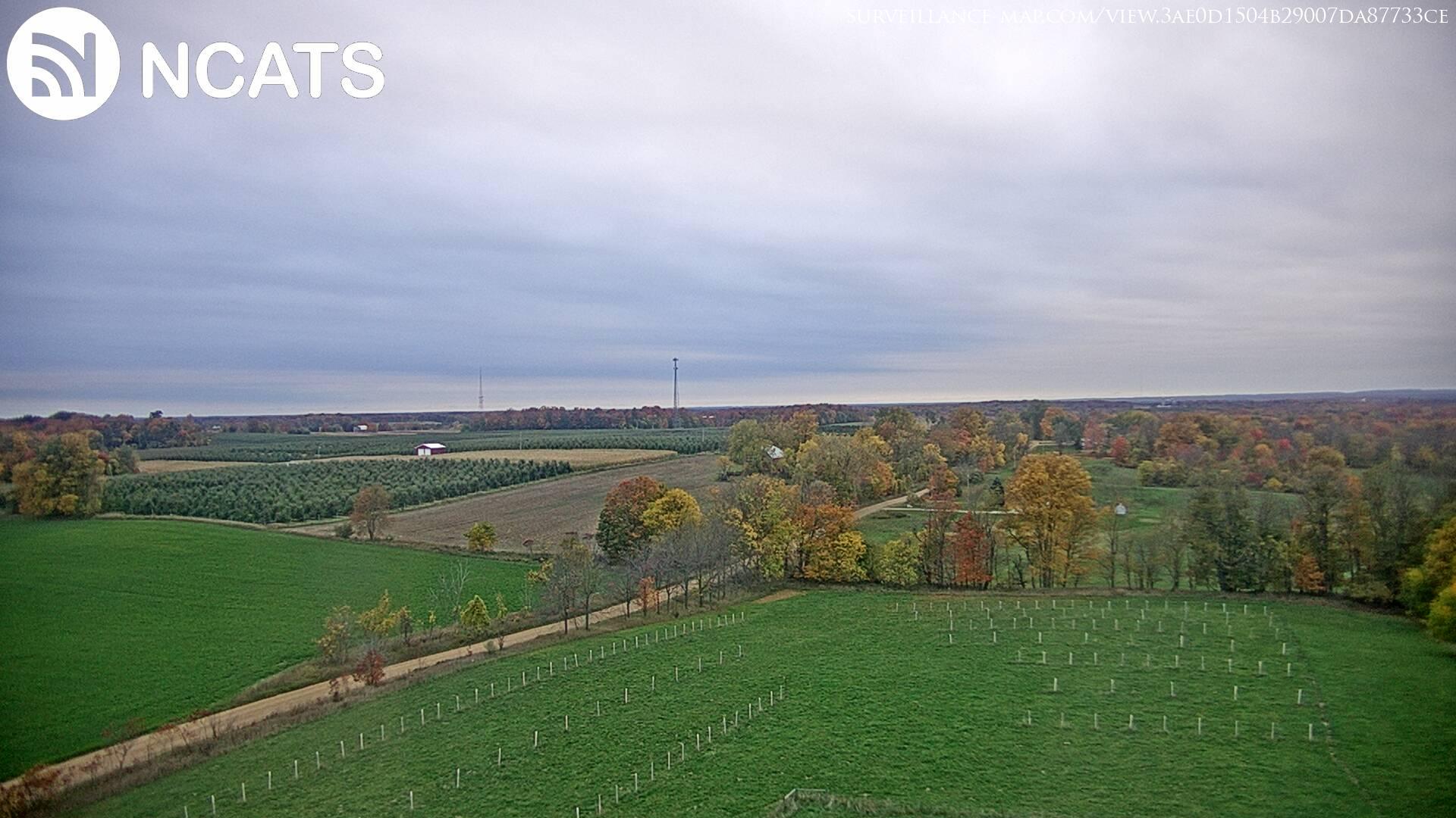 Fremont · Michigan · United States