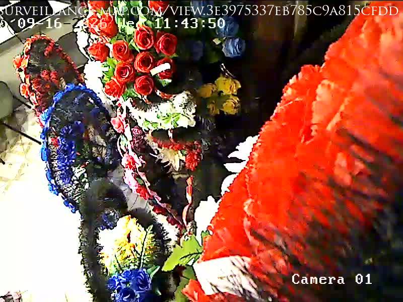 Pavlohrad · Dnipropetrovsk Oblast · Ukraine