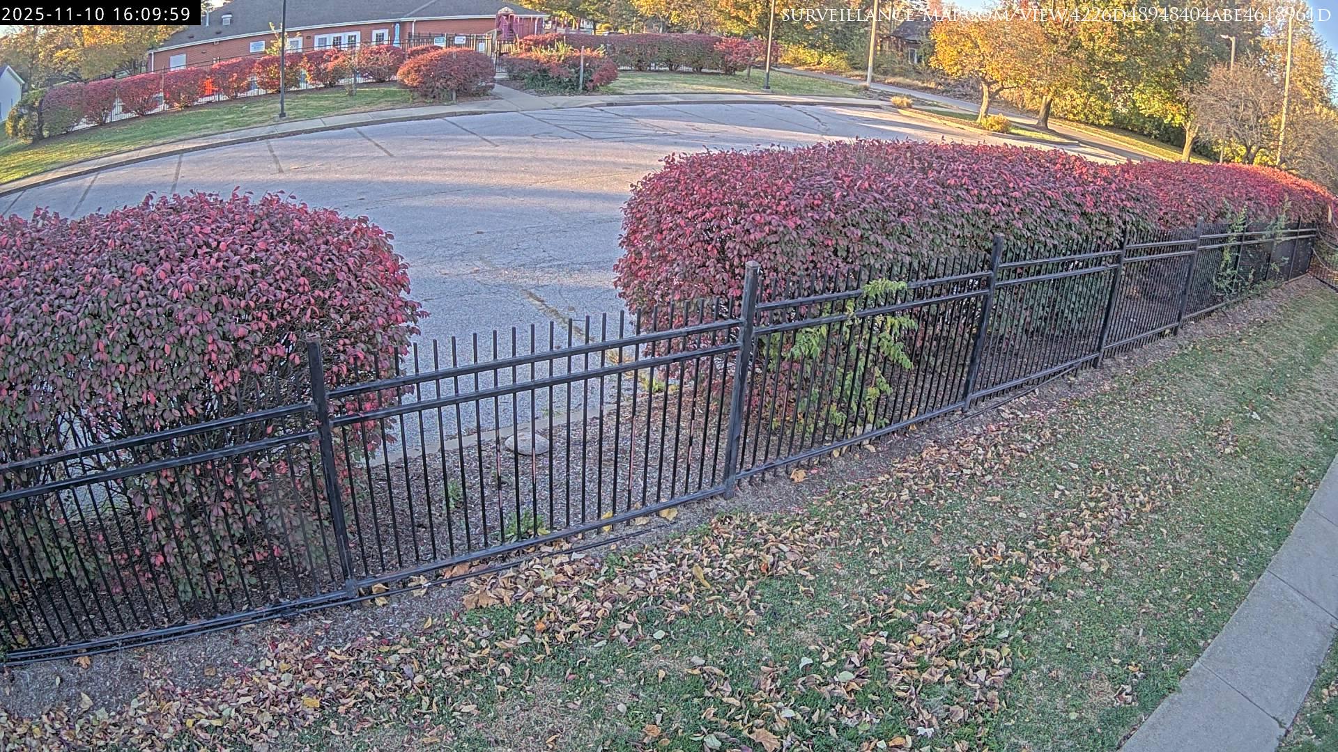Swansea · Illinois · United States