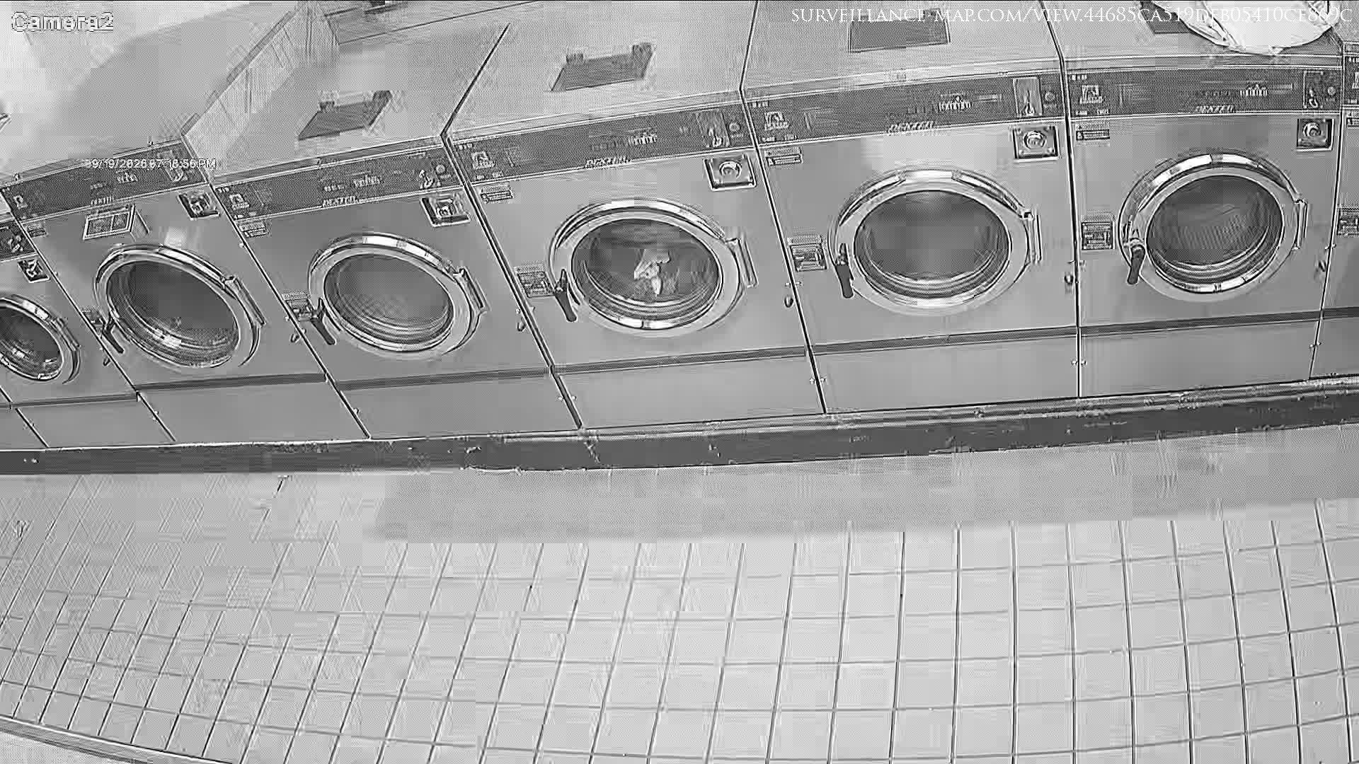 The Bronx · New York · United States