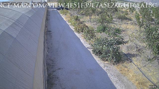 Shiraz · Fars · Iran