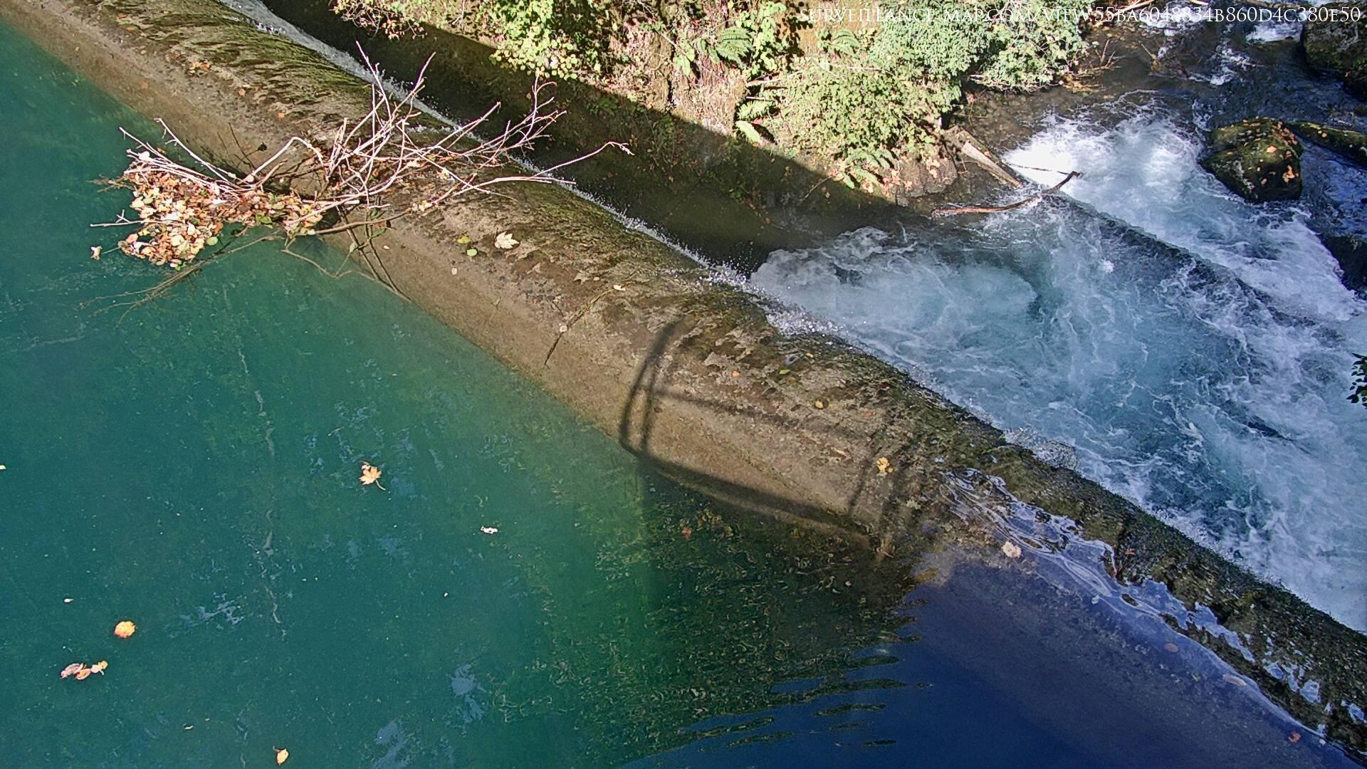 Saint-Lambert-la-Potherie · Pays de la Loire · France