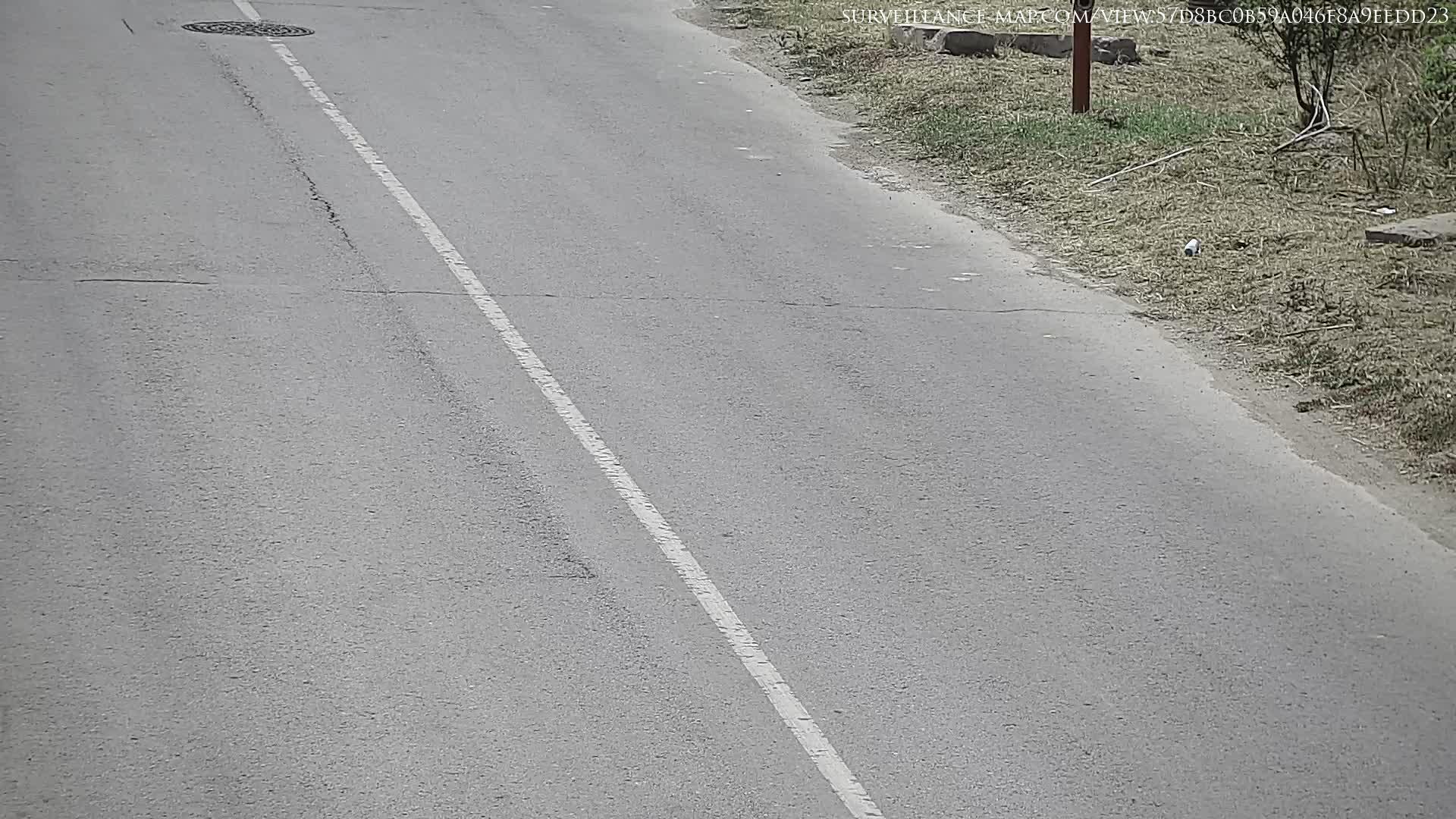 Dolna Mitropolia · Pleven · Bulgaria
