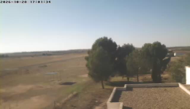 Madrid · Madrid · Spain