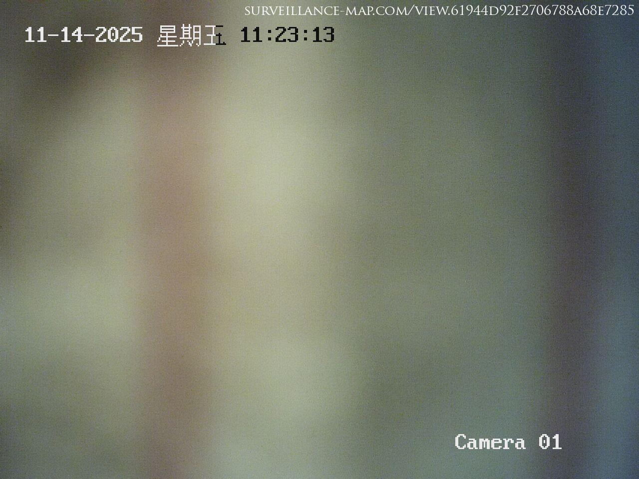 Shenzhen · Guangdong · China