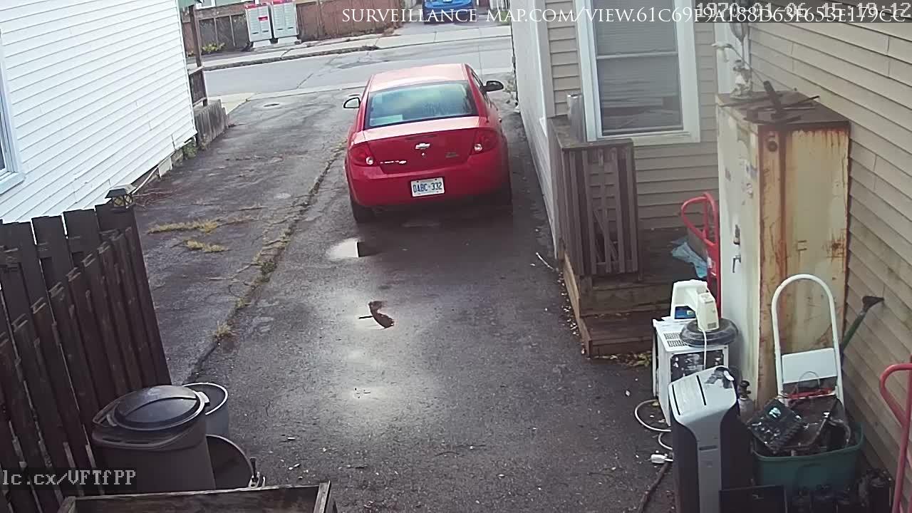 Hamilton · Ontario · Canada