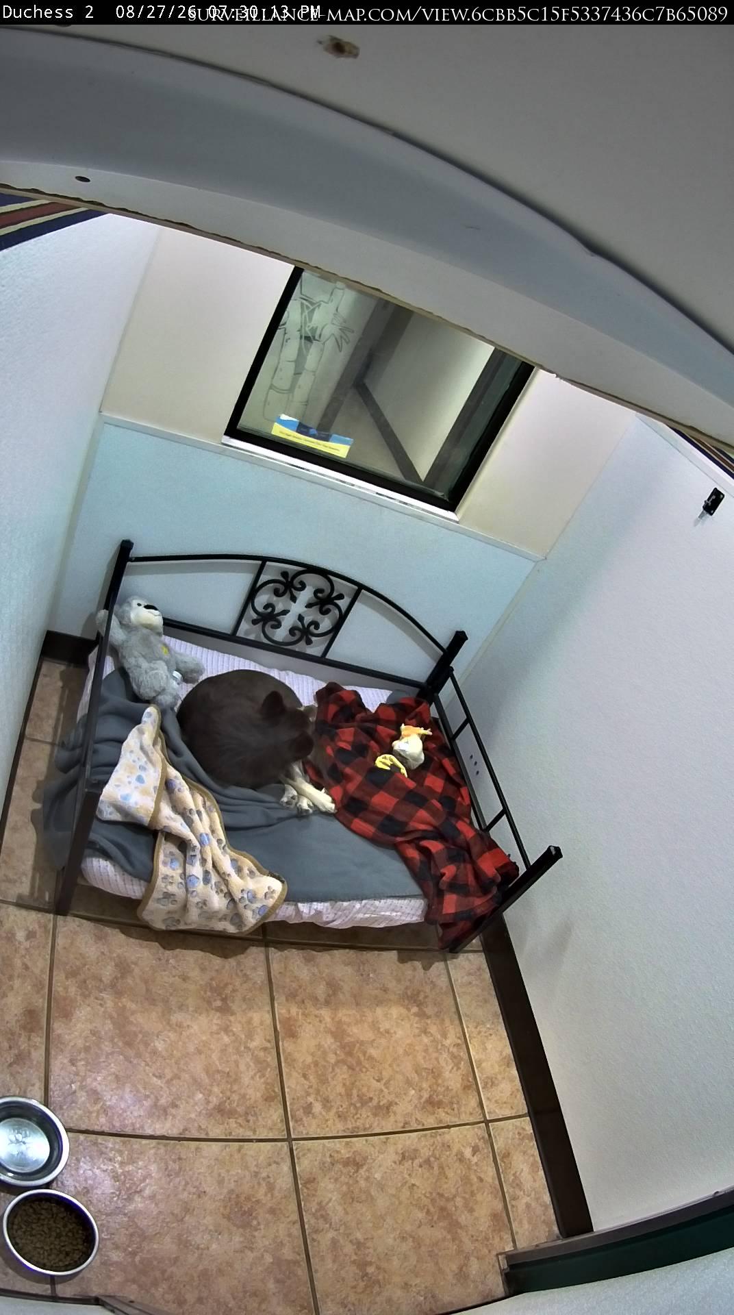 Cocoa · Florida · United States