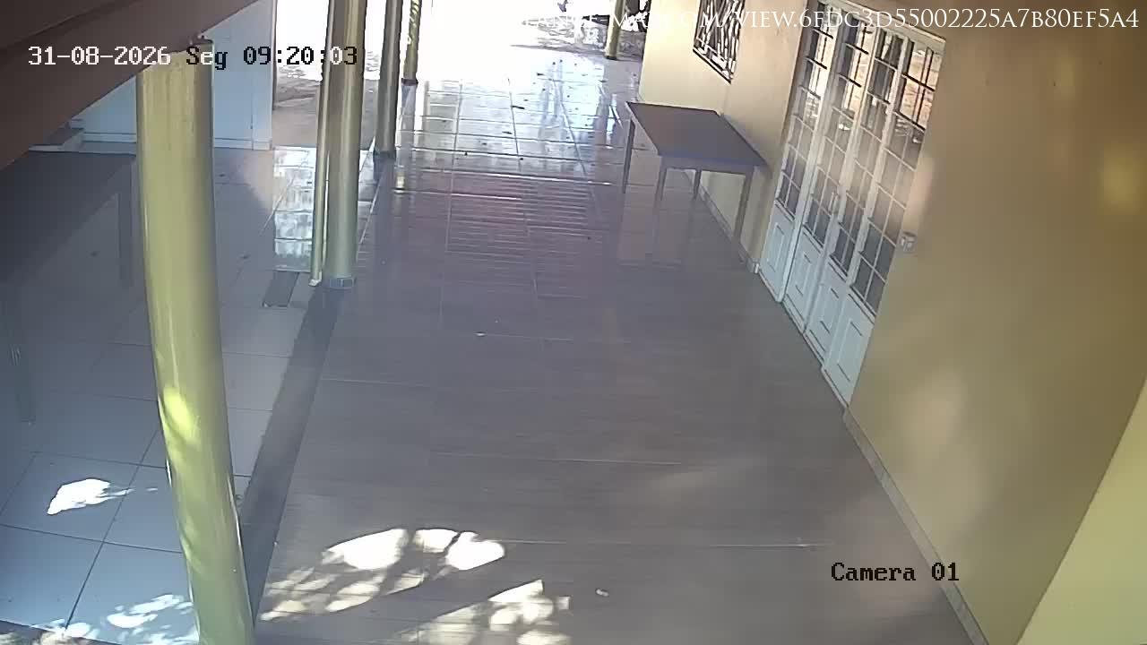 São Francisco · Minas Gerais · Brazil