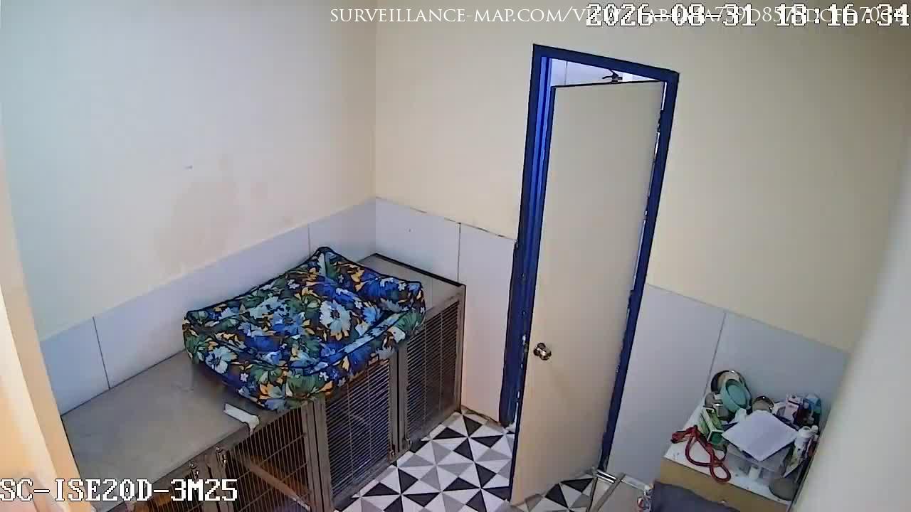 Mohali · Punjab · India