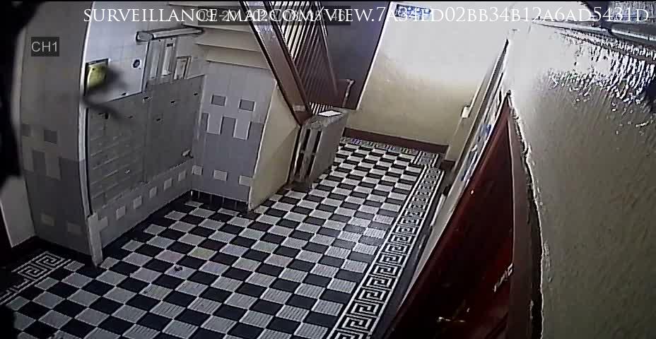 The Bronx · New York · United States
