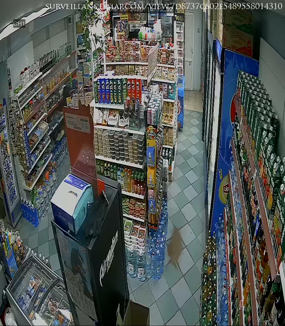 Surgut · Khanty-Mansia · Russia