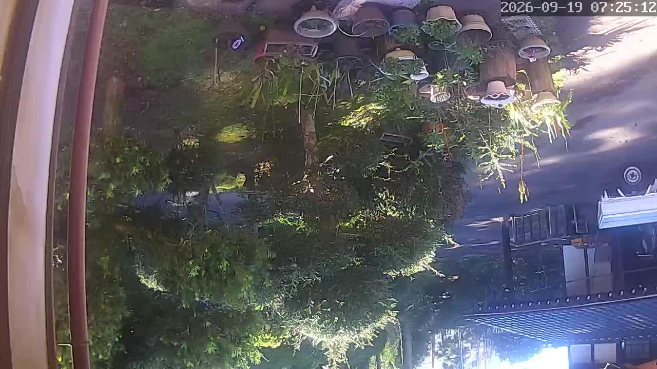 Ichikawa · Chiba · Japan