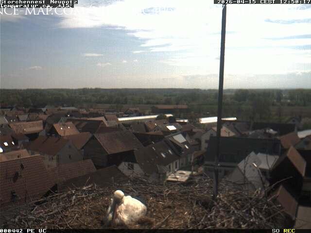 Neuss · North Rhine-Westphalia · Germany