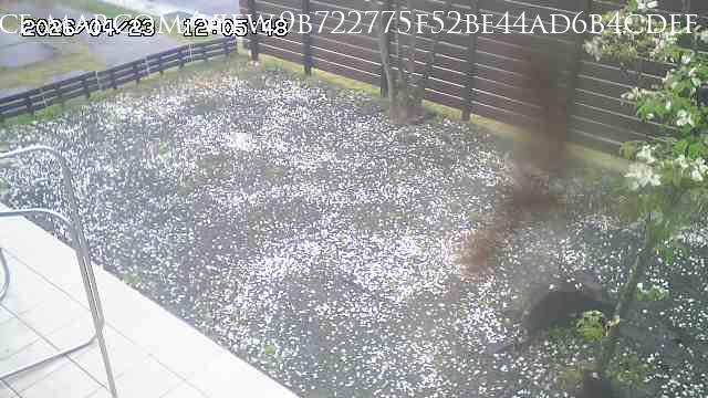 Motosu · Gifu · Japan