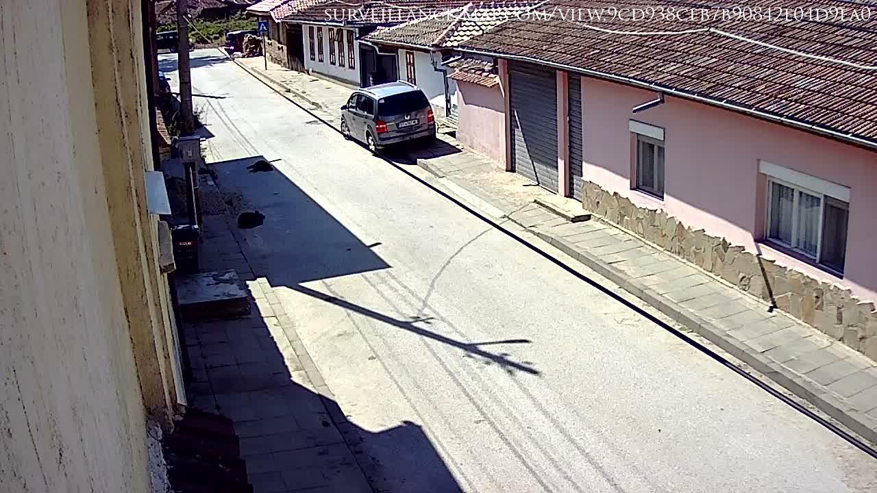 Elena · Veliko Tarnovo · Bulgaria