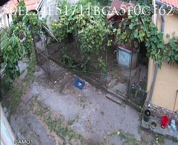 Timișoara · Timiș County · Romania