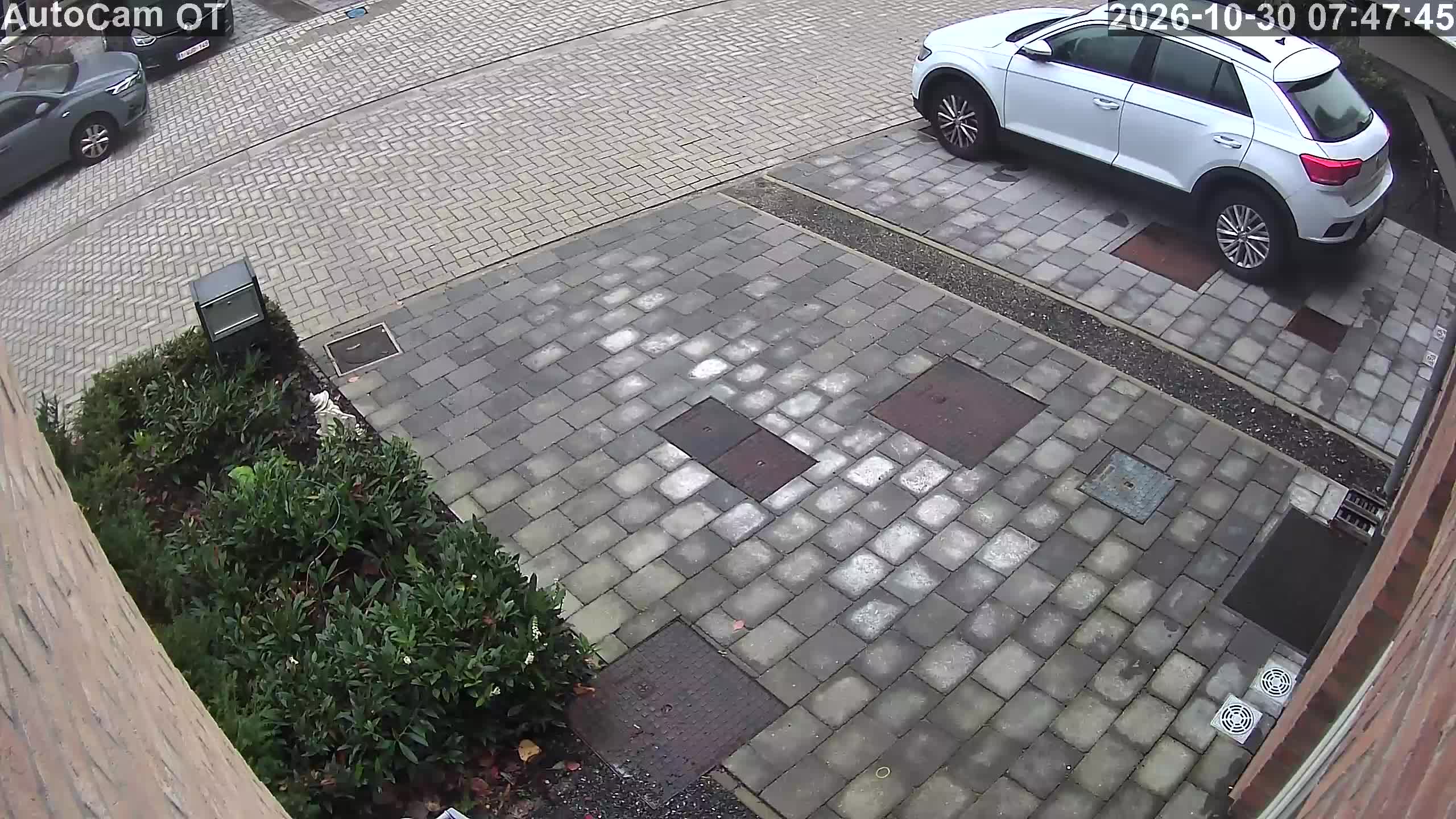 Antwerp · Flanders · Belgium