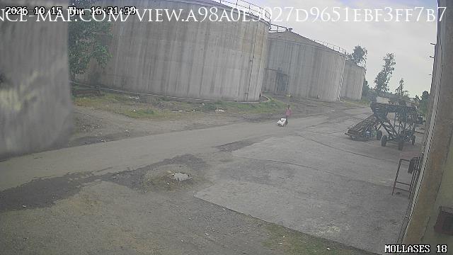 Mohali · Punjab · India