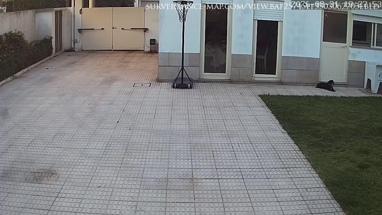 Anadia · Aveiro · Portugal