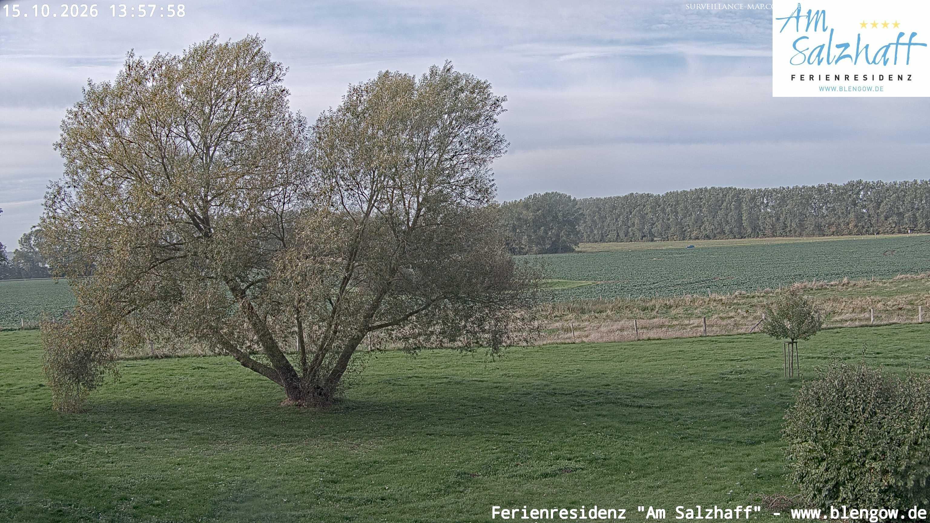 Bad Doberan · Mecklenburg-Vorpommern · Germany