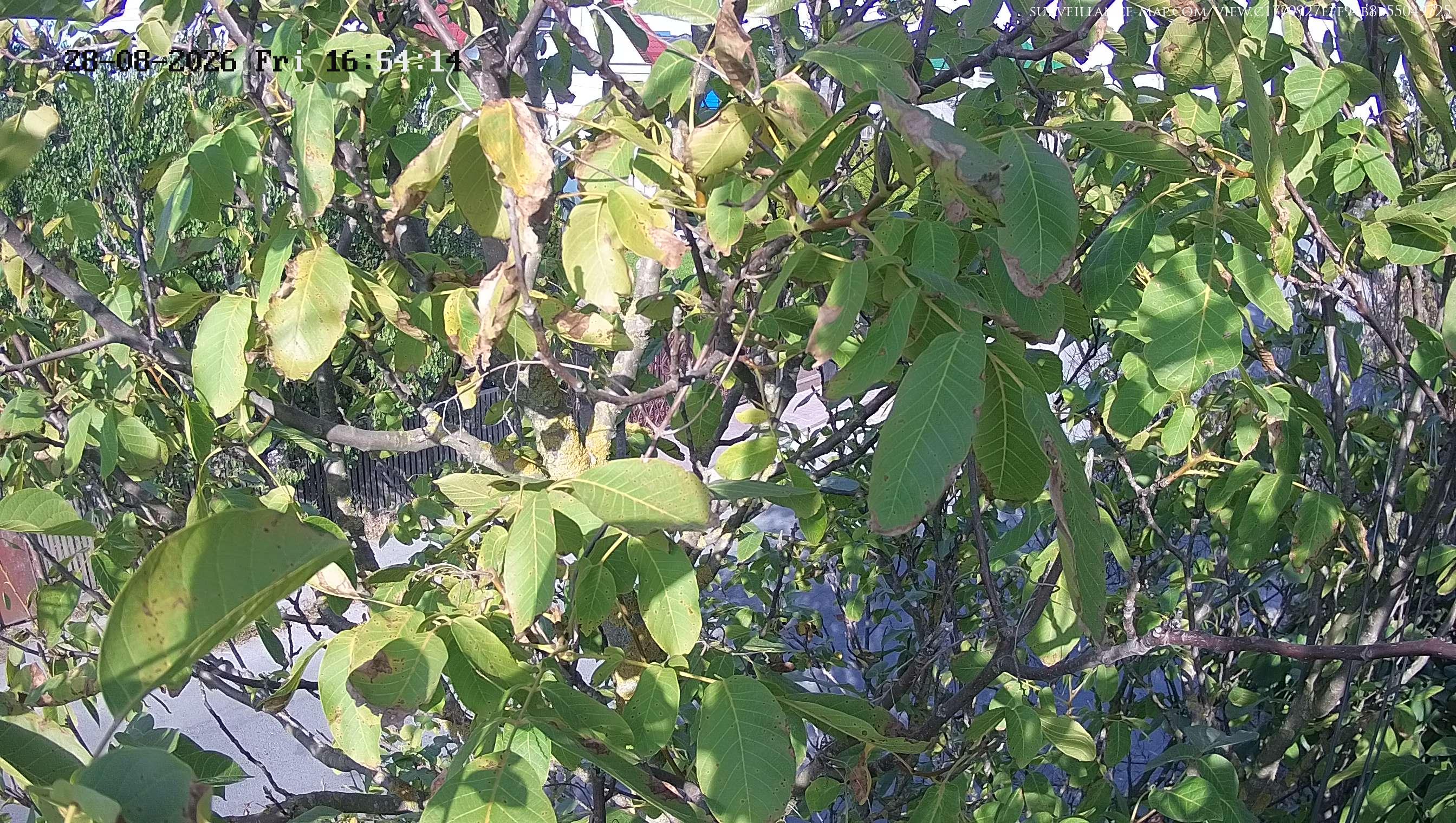 Zvyahel · Zhytomyr Oblast · Ukraine