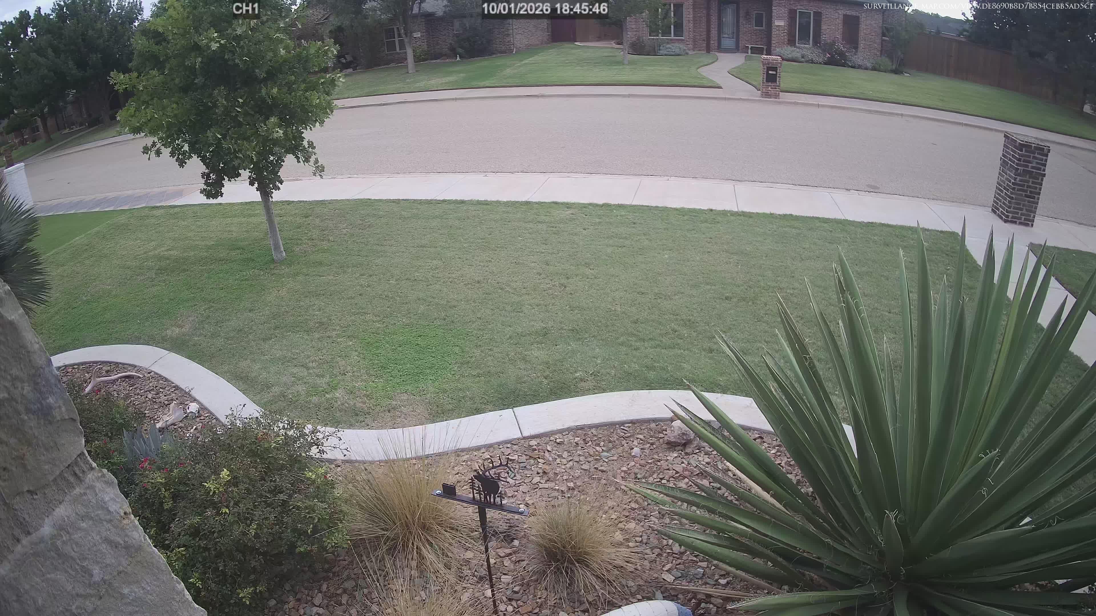 Amarillo · Texas · United States