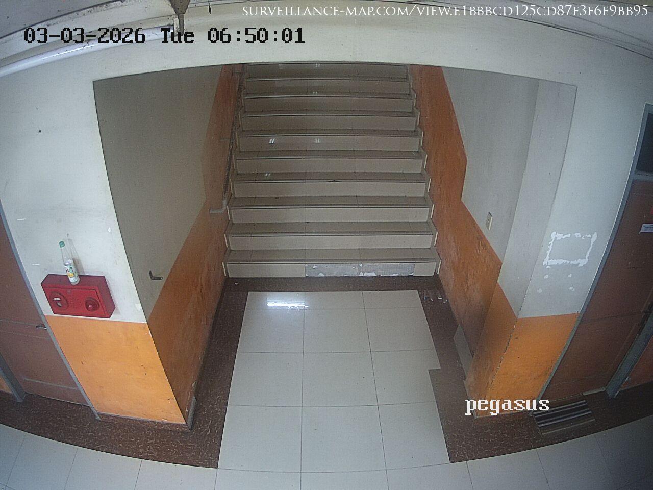 Utan · Jakarta · Indonesia