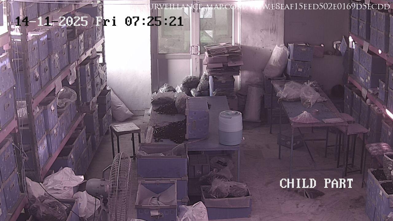 Mohali · Punjab · India