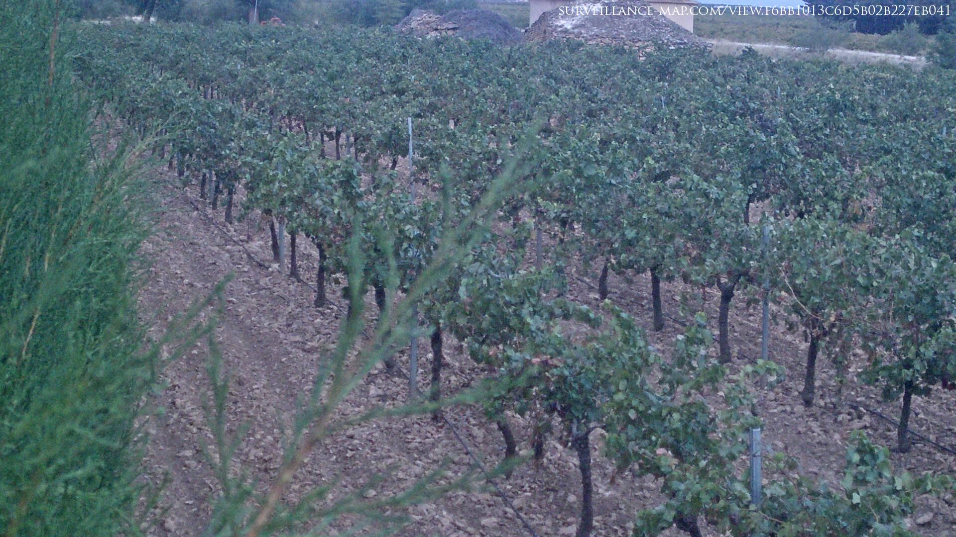 Tomelloso · Castille-La Mancha · Spain