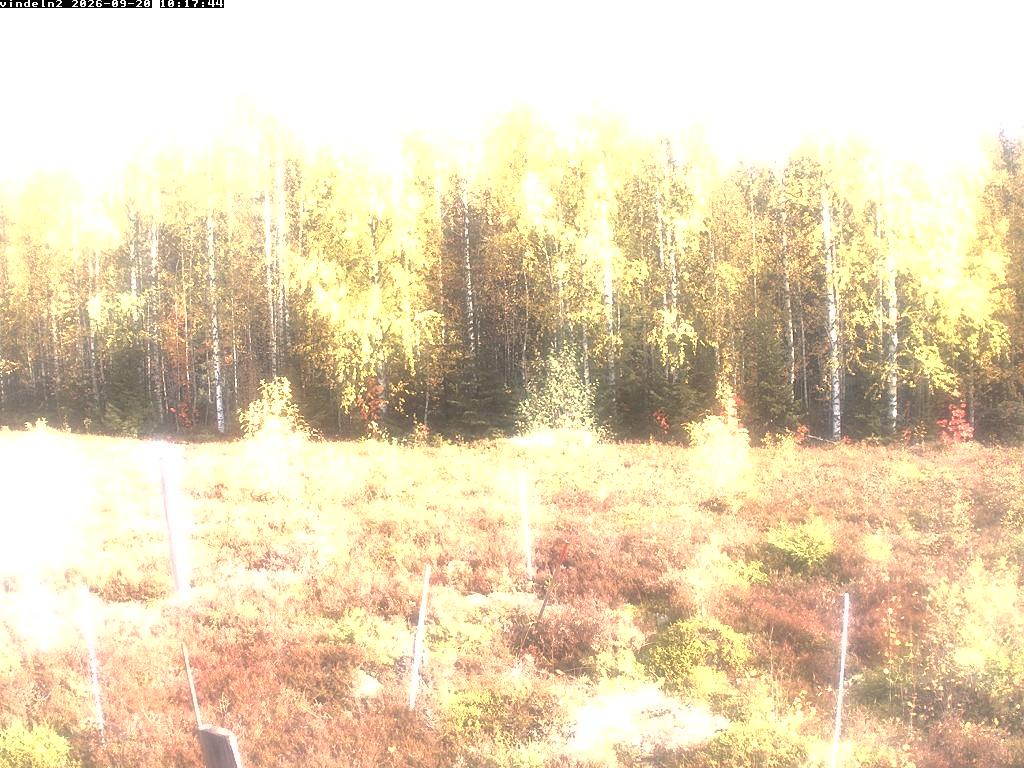 Sundsvall · Västernorrland County · Sweden