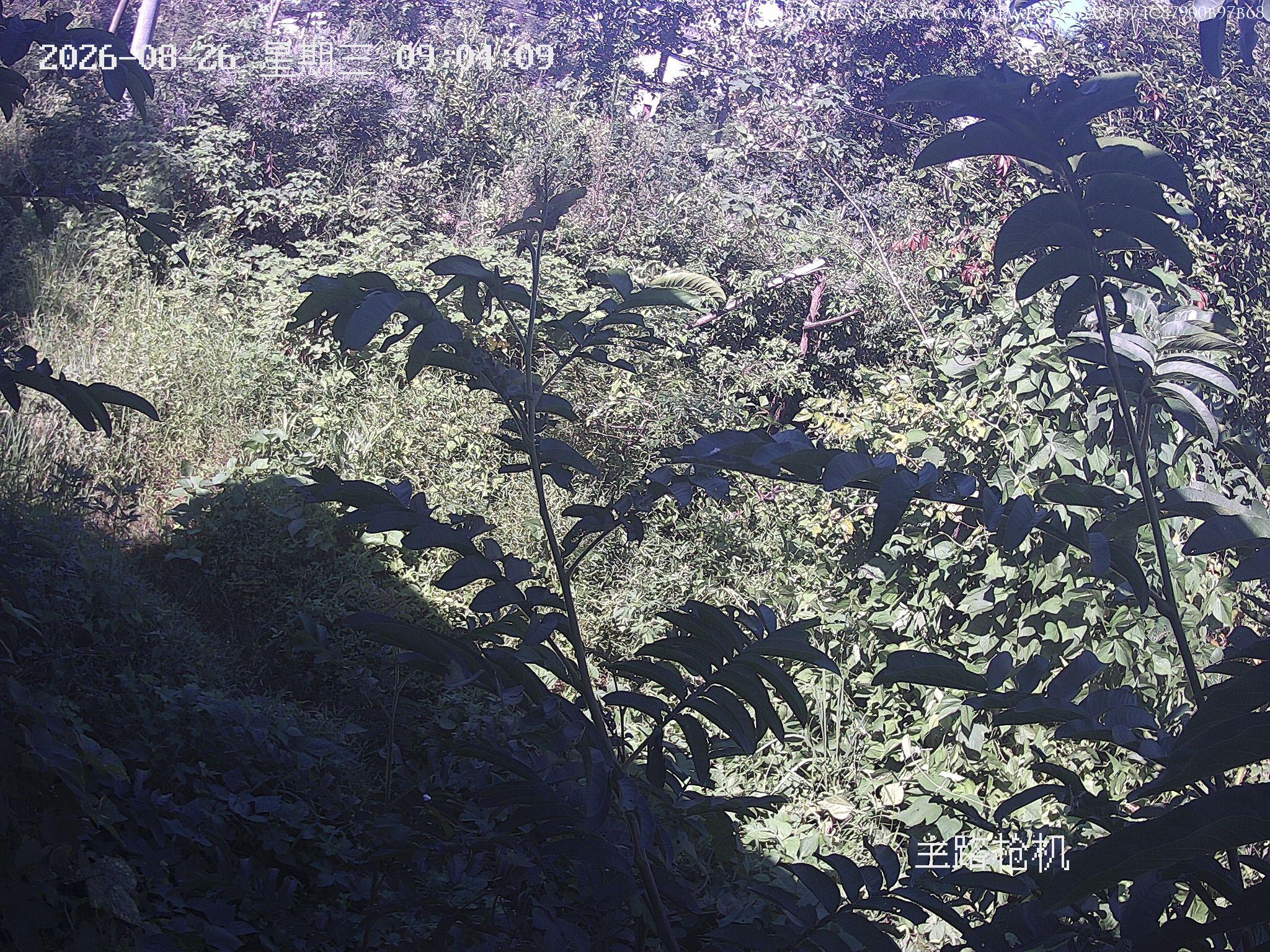 Shizishan · Hubei · China