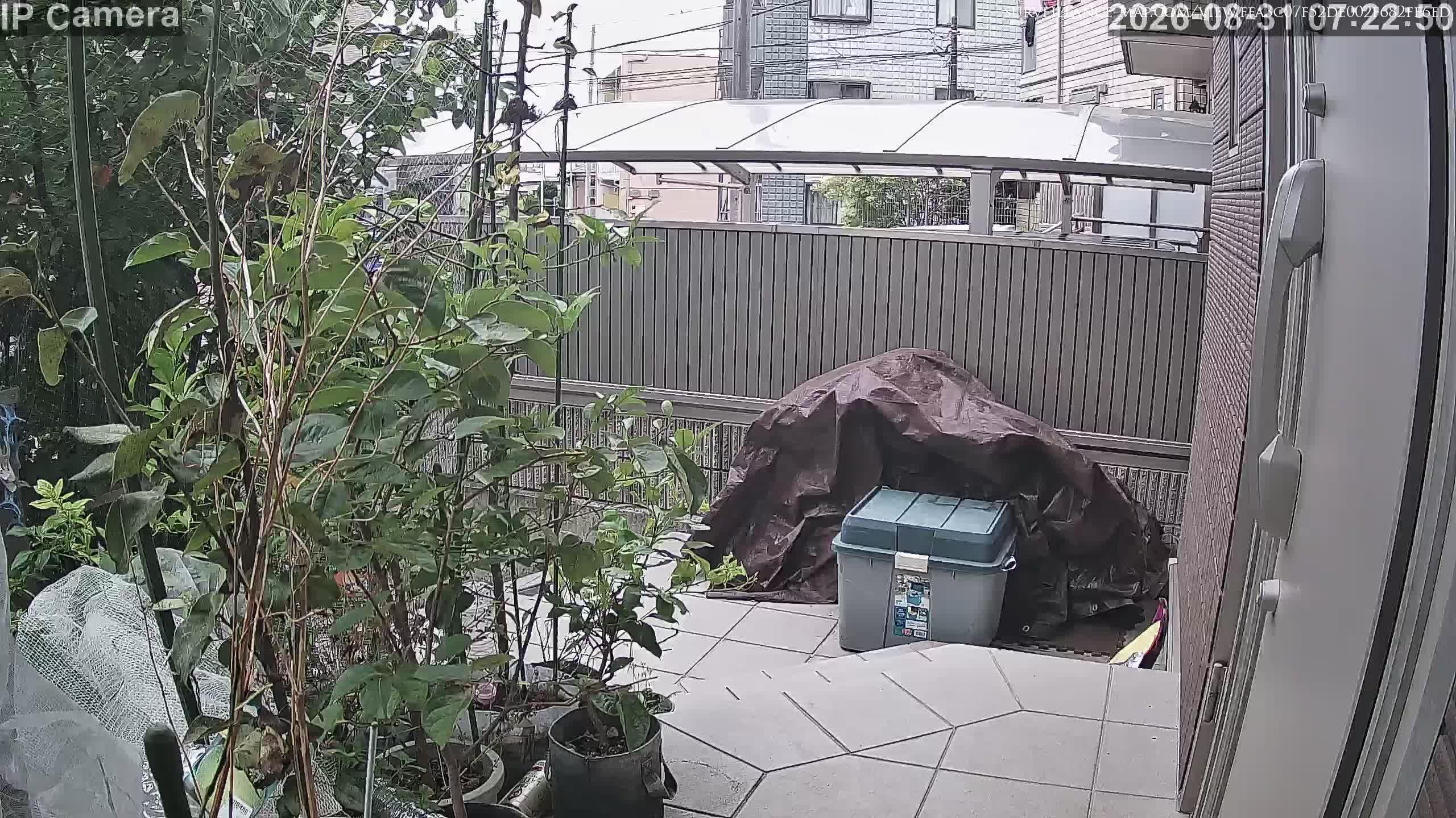 Itado · Kanagawa · Japan